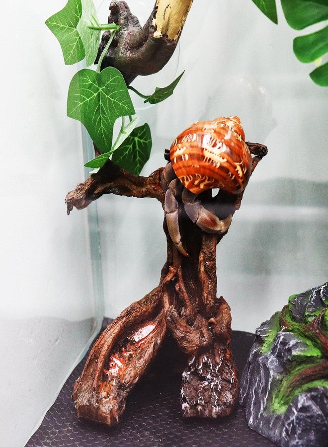 Neeenn Hermit Crab Climbing Toy, Aquarium Betta Fish Hideout Caves, Resin Tree Trunk Ornament, Tank or Aquarium Decorations, Climbing and Hide Toy for Reptile Lizard Newt Hermit Crab - Image 5